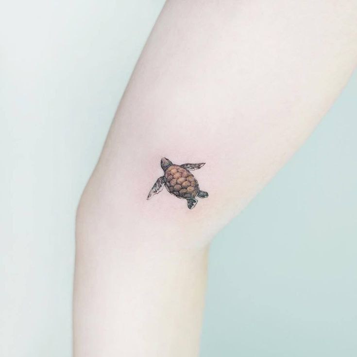 Turtle tattoo on the hip for women