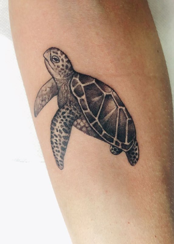 Turtle tattoo on the arm for women