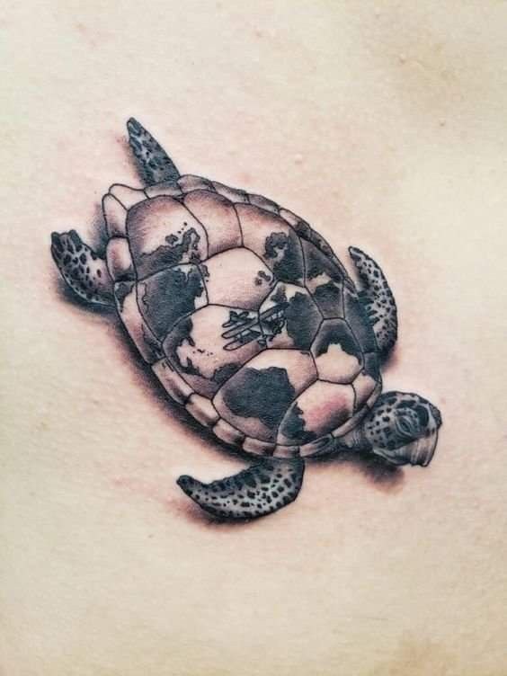 Turtle tattoo on the stomach for women