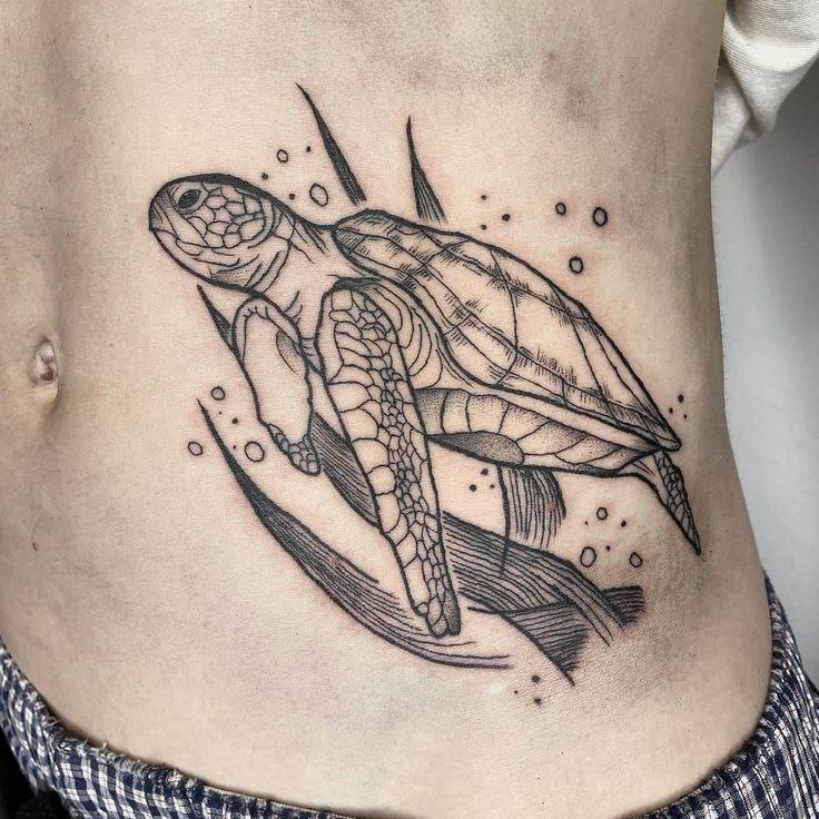 Turtle tattoo on the stomach for men