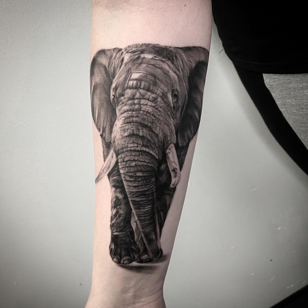 Large elephant tattoo on the forearm for women