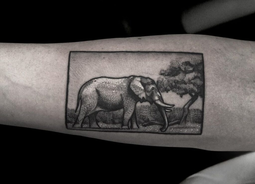 Elephant tattoo on the forearm for men