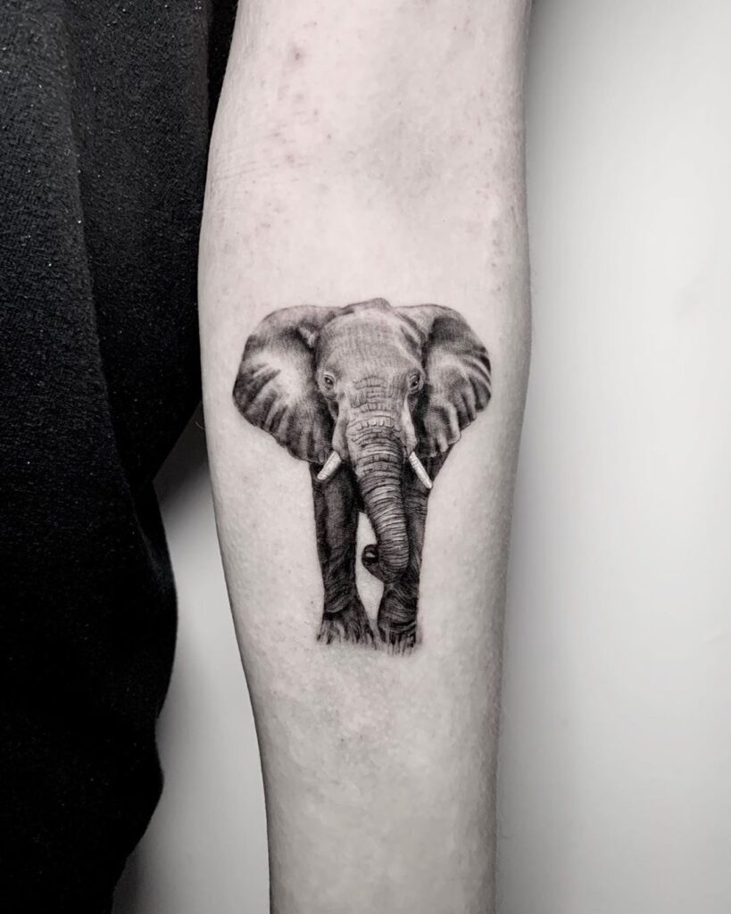 Elephant tattoo on the forearm for women