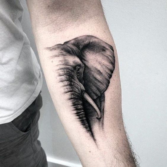 Elephant tattoo on the forearm for men