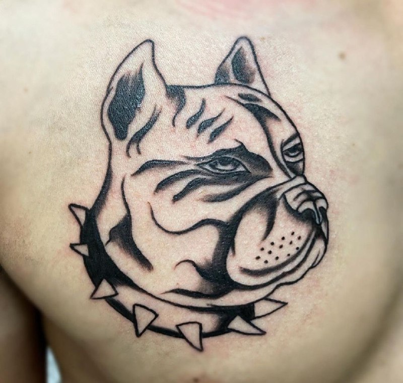 Pit bull tattoo on the chest for men