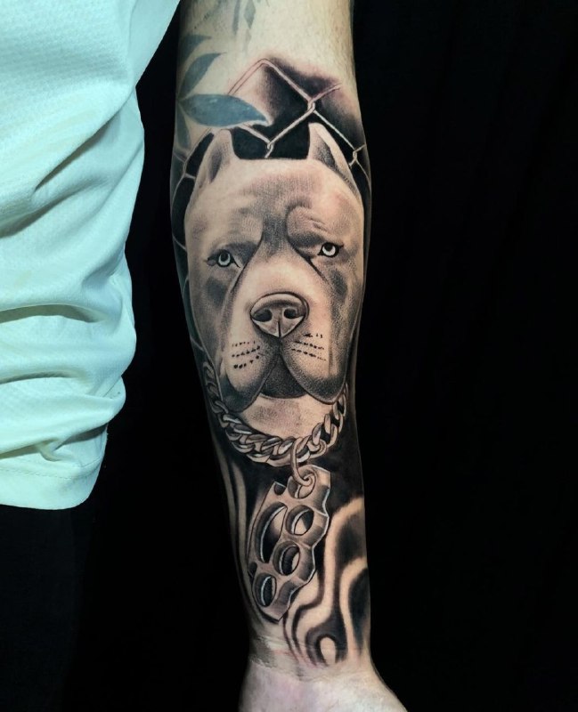 Pit bull tattoo on the forearm for men