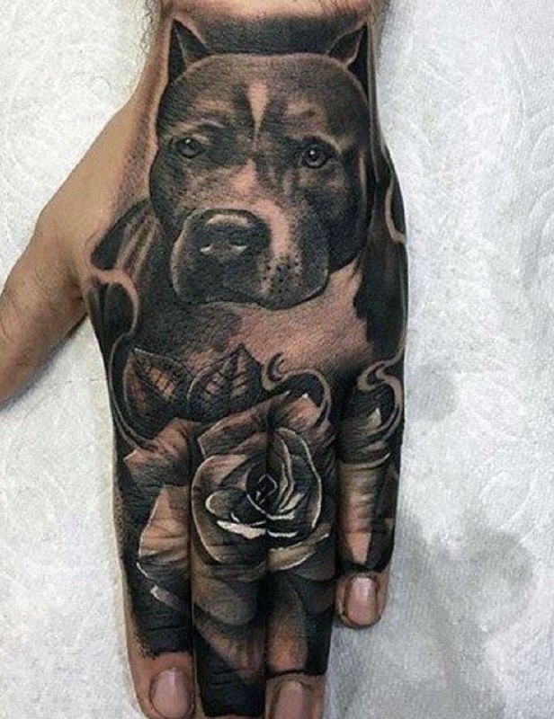 Pit bull tattoo on the hand for men