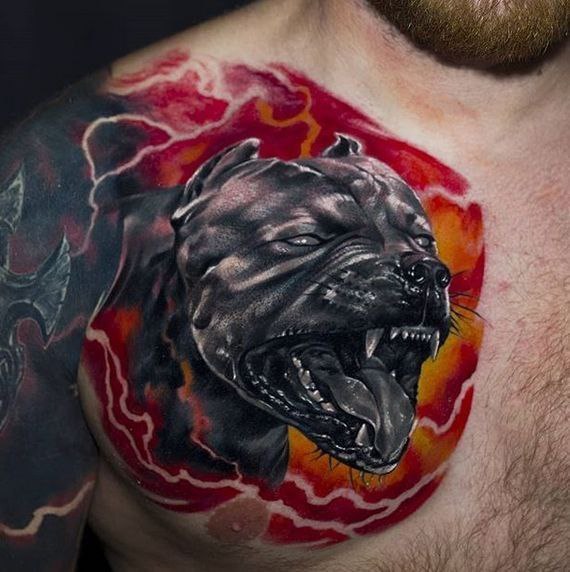 Pit bull tattoo on the chest for men