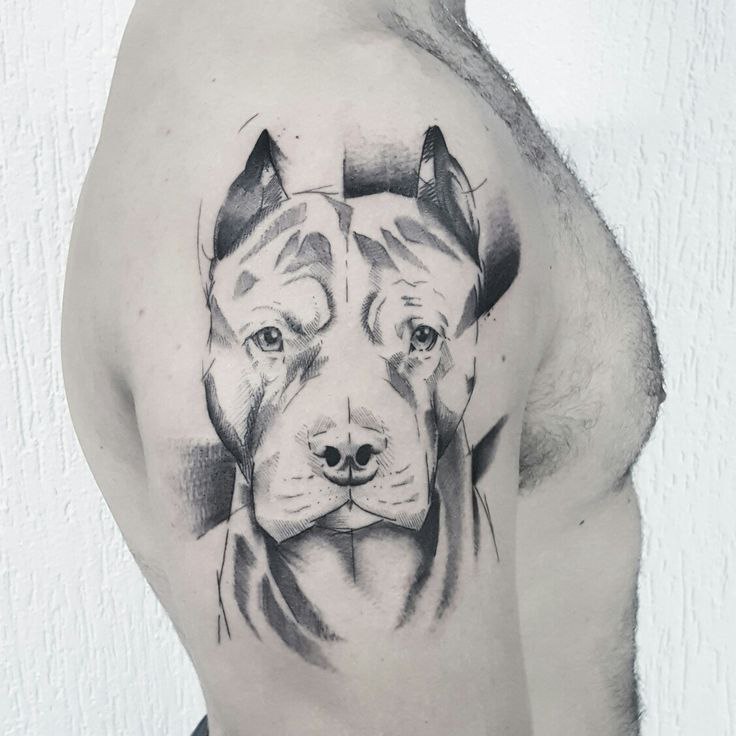 Tattoo of a pit bull on the shoulder for men