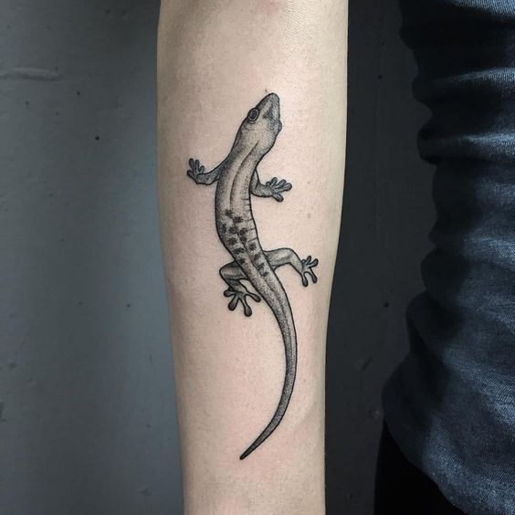 Lizard tattoo on the forearm for men