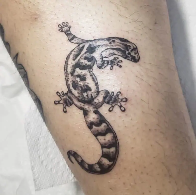 Lizard tattoo on the shin for men