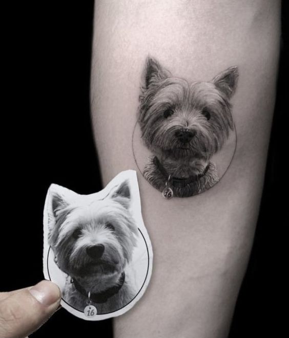 Tattoo of a dog on the forearm for men