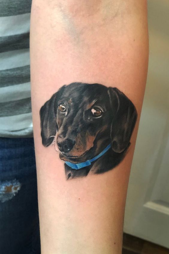 Tattoo of a dog on the forearm for women