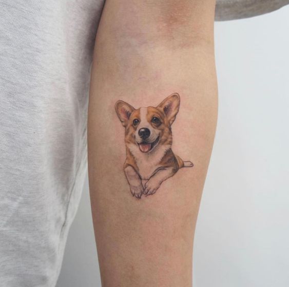 Tattoo of a dog on the forearm for women