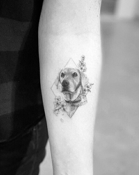 Tattoo of a dog on the forearm for men