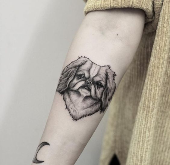 Tattoo of a dog on the forearm for women