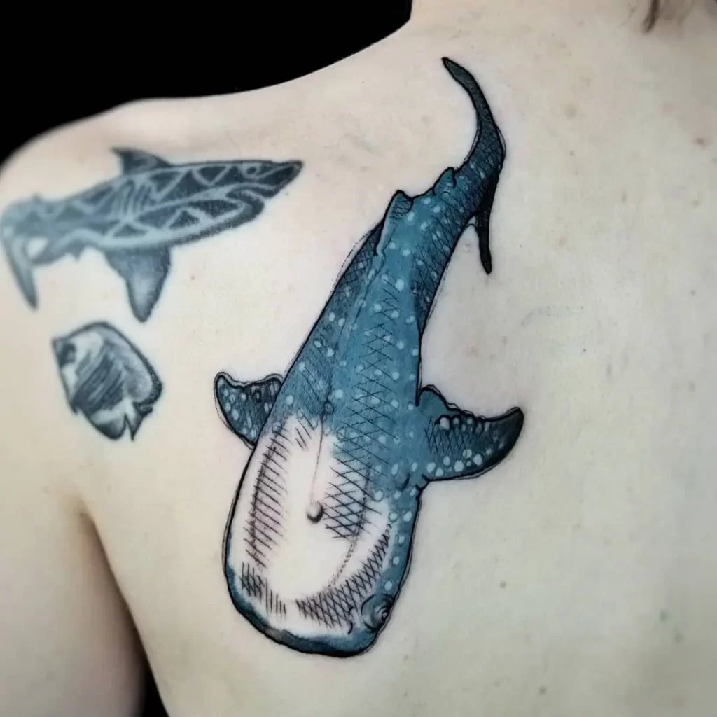 Colored shark tattoo on the shoulder blade for men