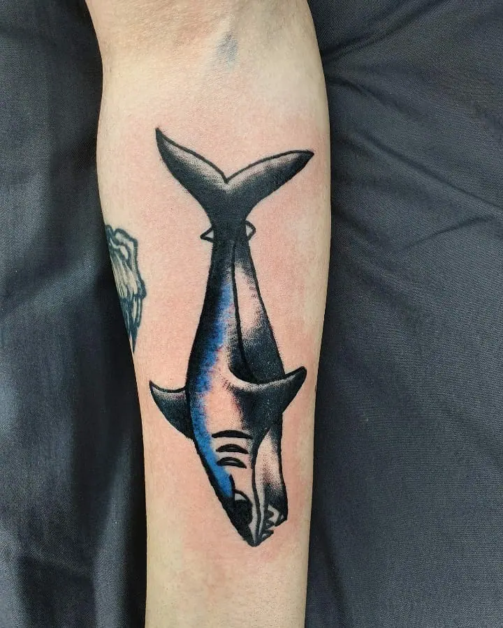 Shark tattoo on forearm for men