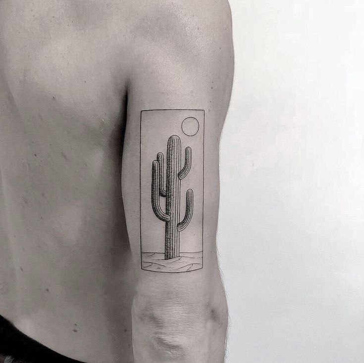 Cactus tattoo on the shoulder for women