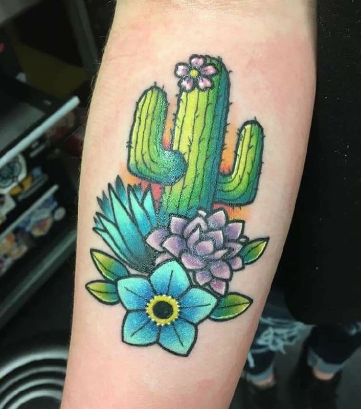 Colored cactus tattoo on the forearm for men