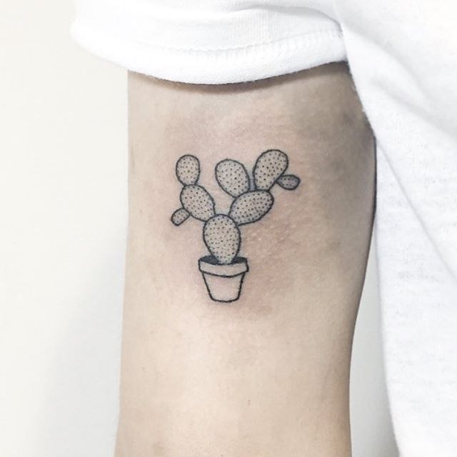 Cactus tattoo on the shoulder for women