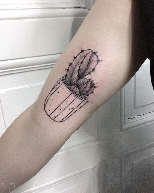 Cactus tattoo on the shoulder for women