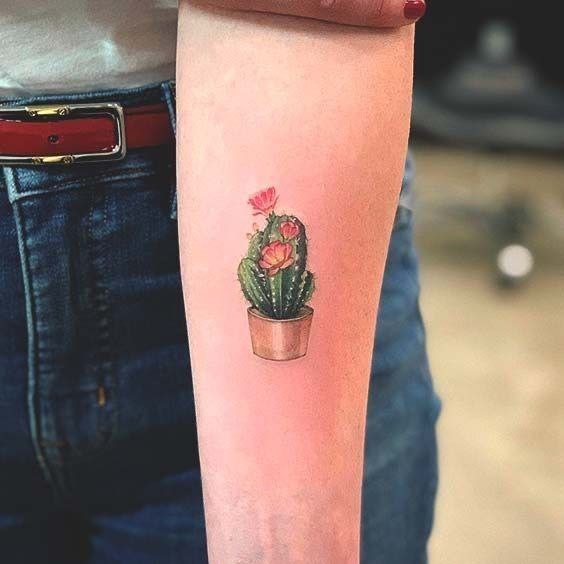 Colorful cactus tattoo on the forearm for women