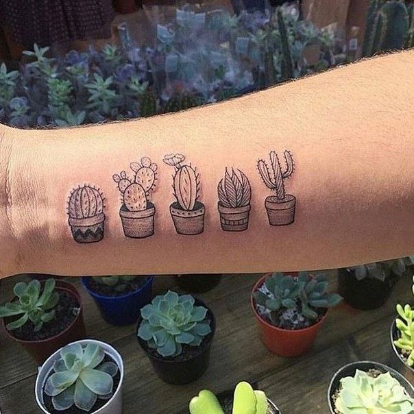 Tattoo of five cacti on the arm for men