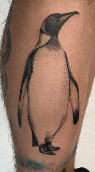 Tattoo of a penguin on the shin for men