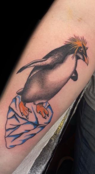 Tattoo of a penguin on the forearm for men