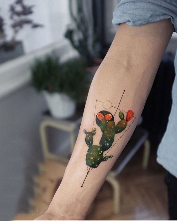 Colored cactus tattoo on the forearm for men