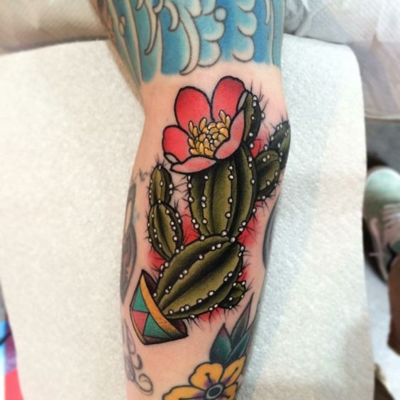 Colorful cactus tattoo on the shin for men