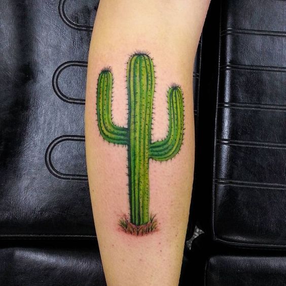 Colorful cactus tattoo on the shin for women