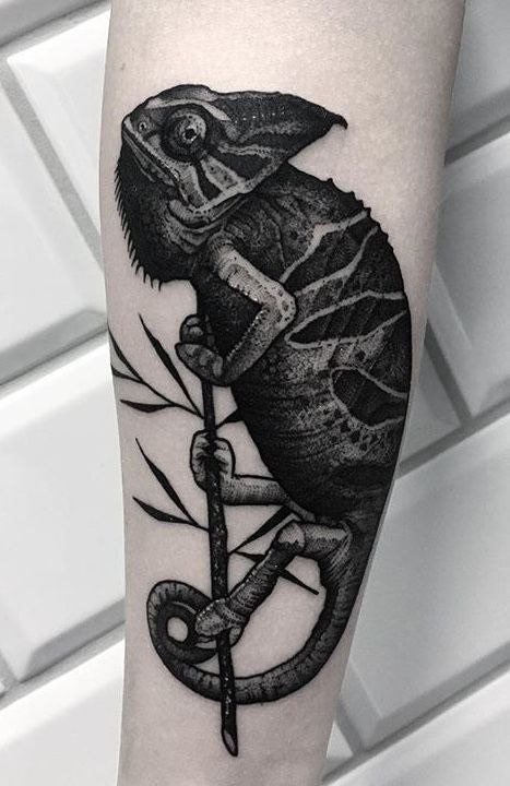 Chameleon tattoo on forearm for women