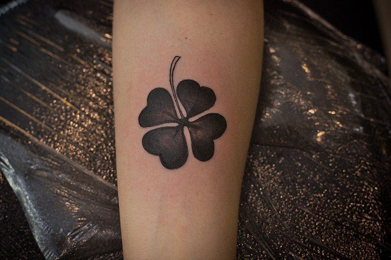 Tattoo of a clover on the forearm for women