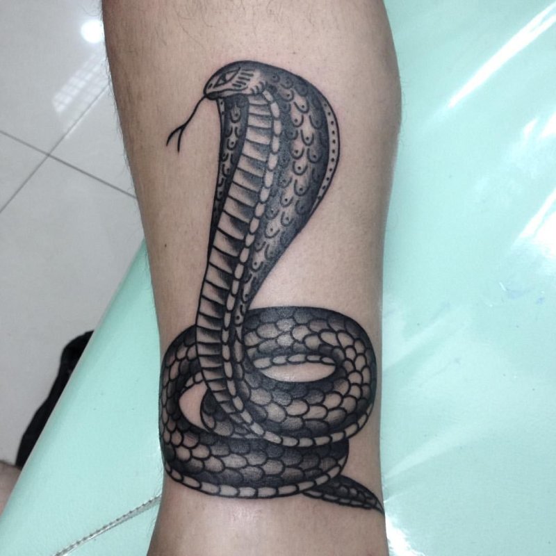 Cobra tattoo on the shin for men