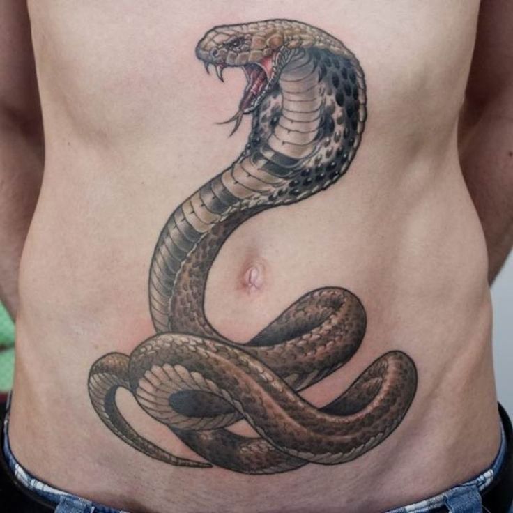 Large cobra tattoo on the stomach for men