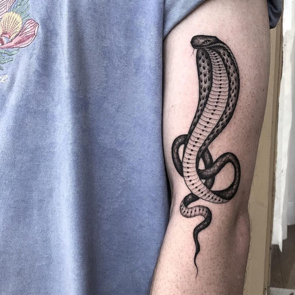 Cobra tattoo on the shoulder for men