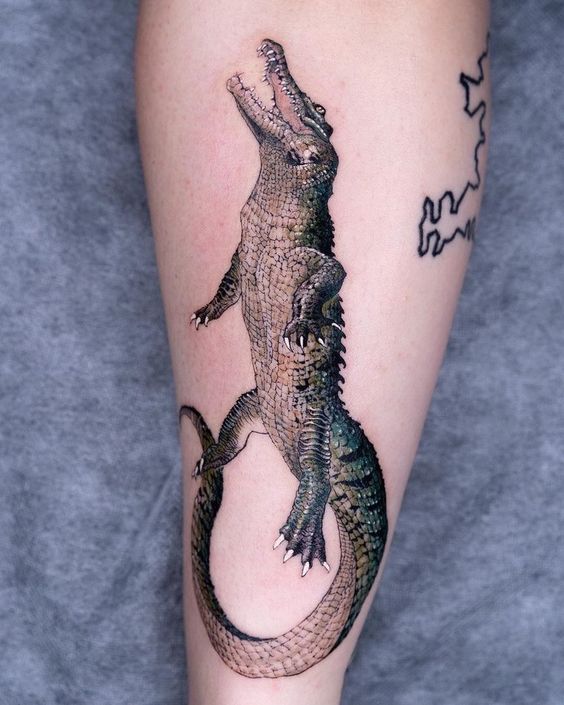 Crocodile tattoo on the calf for men