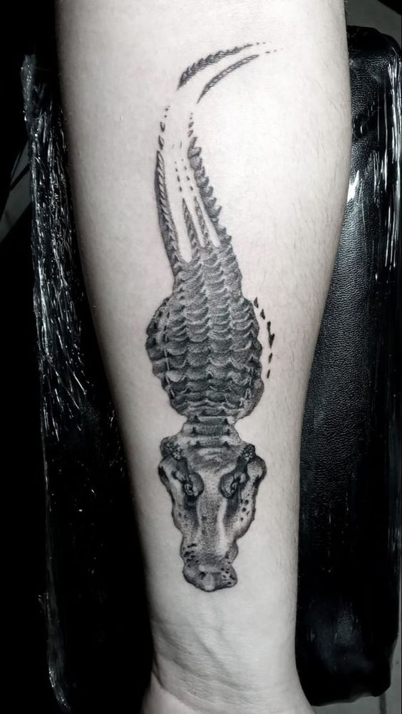 Crocodile tattoo on the forearm for men