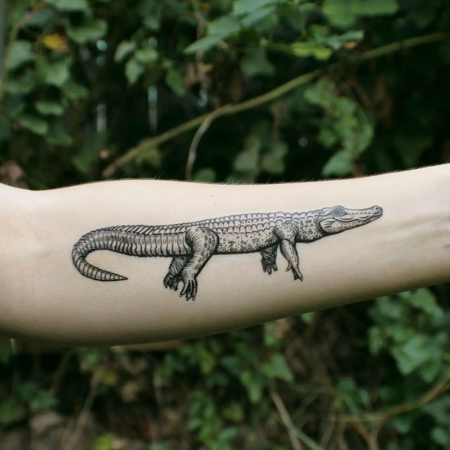Crocodile tattoos for the brave: original ideas for those who are not afraid to stand out - ❤️ Онлайн блог о тату IdeasTattoo