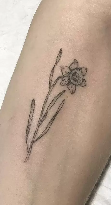 Daffodil flower tattoo on the arm for women