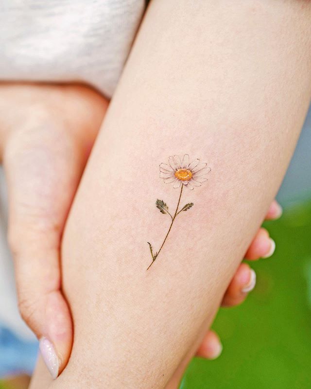 Colorful daisy tattoo on the shoulder for women