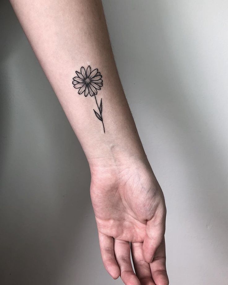 Daisy tattoo on forearm for women