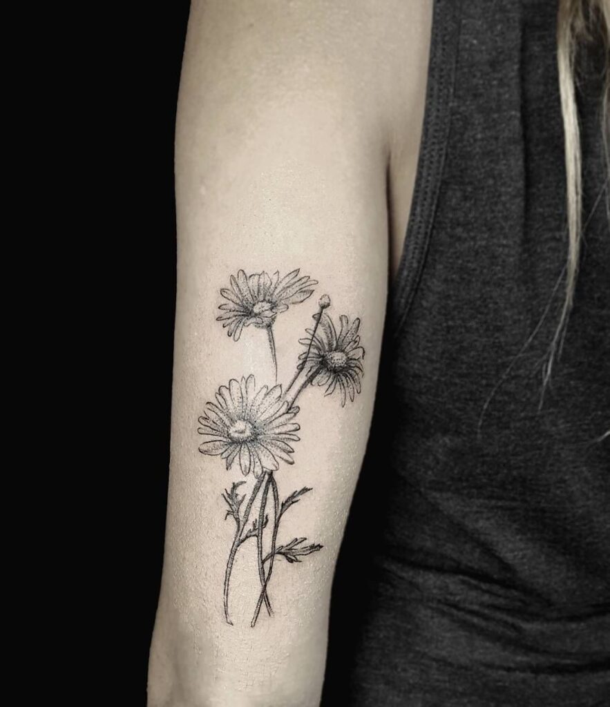 Daisy tattoo on the shoulder for women