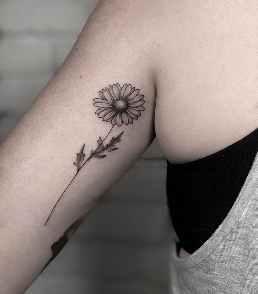 Large daisy tattoo on the shoulder for women