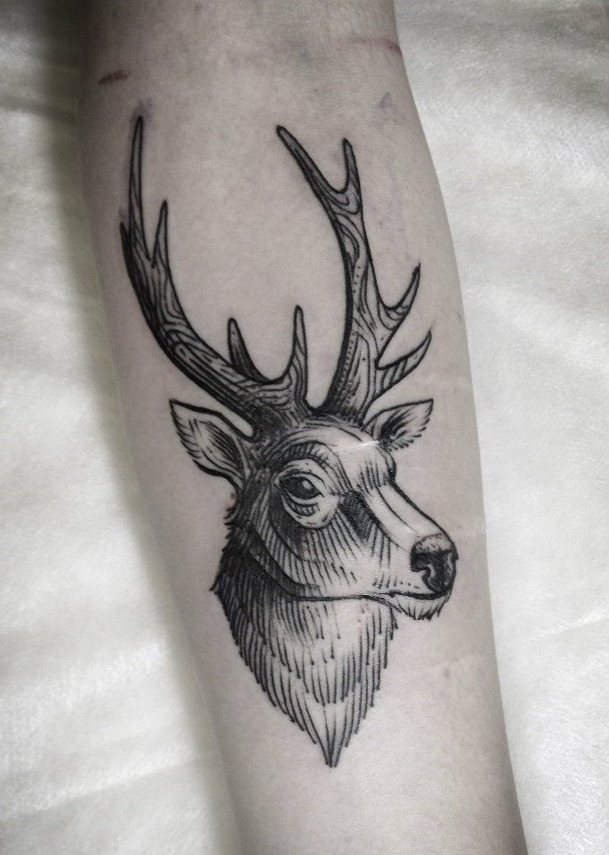 Tattoo of a deer on the forearm for men