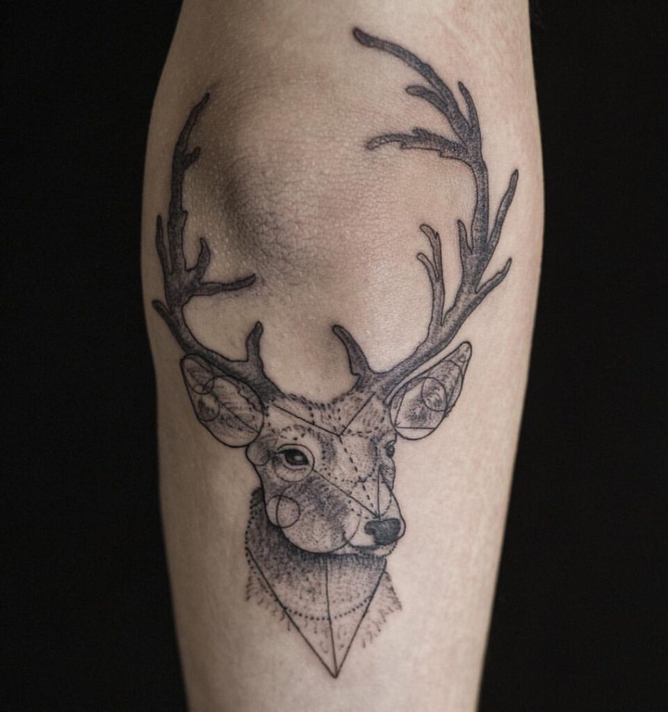 Tattoo of a deer on the forearm for men