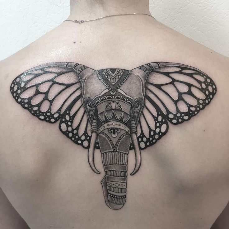 Big elephant tattoo on the back for men