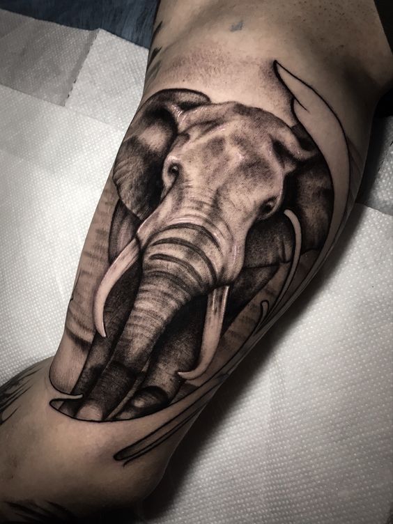 Elephant tattoo on the shoulder for men